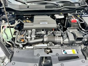 Xe Honda CRV L 2020