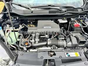 Xe Honda CRV L 2020